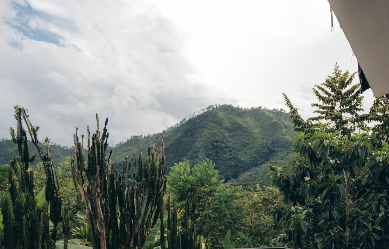 Zephyr River Lodge Lanquin Luaran gambar